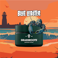 Blue Lobster 3.5g