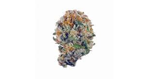 State Flower | Canal Street Runtz 3.5g