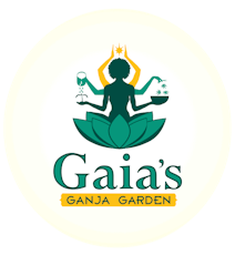 Gaia's Ganja Garden - Pineapple Aloha 0.5g Pre-Roll (S)