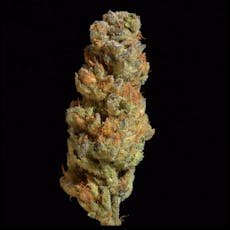 The Hive - 3.5g Clearance Flower