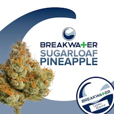 Sugarloaf Pineapple 7g