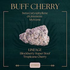 Buff Cherry (3.5g)
