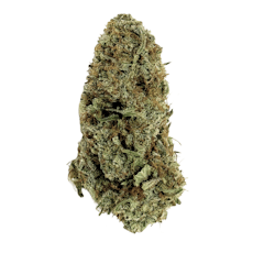 Nigerian Sunshine | Flower Bar