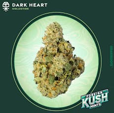 Dark Heart Foreign Kush Mints Small Flower | 7g