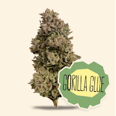 DC I Flower I Original Glue I 3.5g
