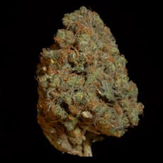 Lemon Kush - 3.5g Top Shelf Flower