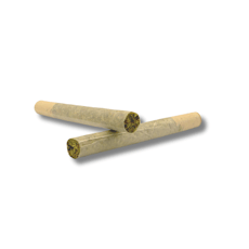 Congo Kashmir 1g Pre-Roll