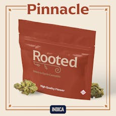 ROOTED - PREPACK - 14G - PINNACLE - INDICA