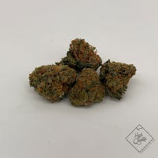 Bavarian Cream VB+ - SoFresh (H)