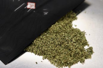 28g Shake | Dog Walker OG