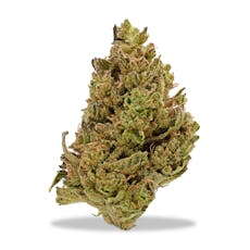 Benson Arbor - Donny Burger #6