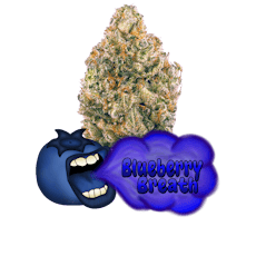 3.5G Blueberry Breath