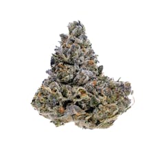 Premier Tier - Filthy McNasty