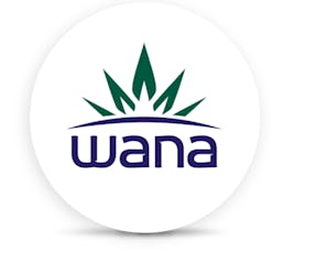 WANA ORGANIC QUICK BLUE RASPBERRY SLUSHY 10PK GUMMIES 100MG