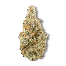 Uplyfted Permanent Power #9 Buds