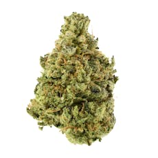 Pinata Flower | Fishscale