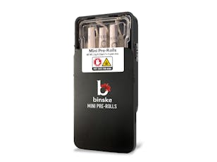 Binske | Garlic Icing (H) Mini Pre Rolls | 7 Pack (3.5g)