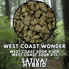 Flower - West Coast Wonder - Popcorn