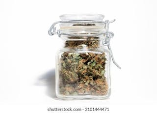 Headband Cookies - Lionheart Cannabis