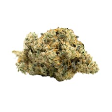 Top Shelf | Animal Scout | Rythm | 3.5g