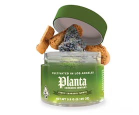 Planta 3.5g H Biscotti