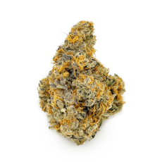 Gold Shelf - Guava Pie (H)