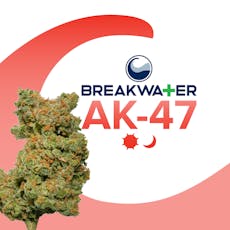 Breakwater - AK-47 - 3.5g Whole Flower