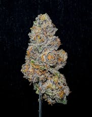 Pink Gellies (S-H) - 3.5g