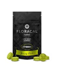 Floracal Gummies 10pk (100mg) Juicy Pear