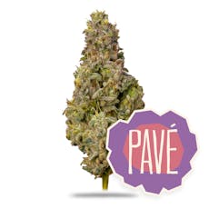 Pave