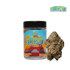 Seed Junky | Gello Shotz - 7g Flower
