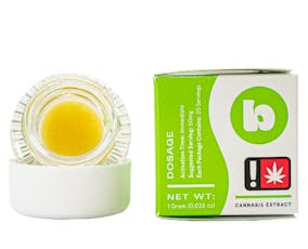Black Maple Live Resin | 1g
