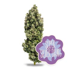 Super Silver Dawg - 28g - District Cannabis