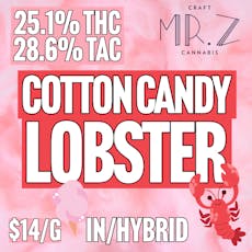 Mr. Z | BULK | Cotton Candy Lobster