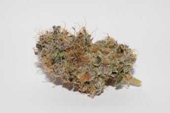 Roemer Farms - Animal Tsunami (I) - 31.22% - Flower - 3.5g