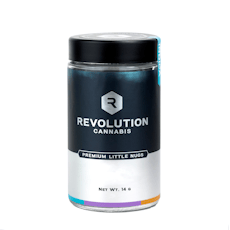 Connoisseur Shelf Revolution Indiana Bubblegum (I) 14g