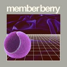 Member Berry Shake (14g)