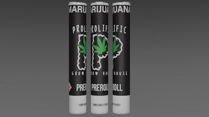 Prolific | Pre-Roll | Insomnia Cookies 1g