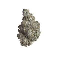 GOLDKINE | POINT BREAK | SATIVA | DELI-STYLE FLOWER | REC