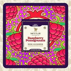 Mini Kickers Raspberry Pomegranate