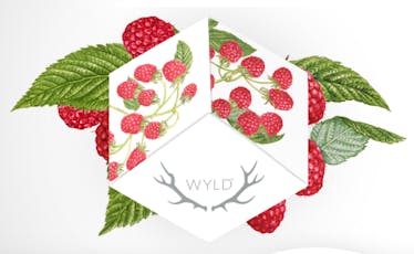 Uplifting - Active Raspberry Gummies 100mg (10-Pack | 10mg Each)