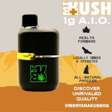 AIO Distillate Vape | Sherbet | 0.5g