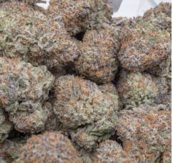Gelato Cake - 043 - 7g