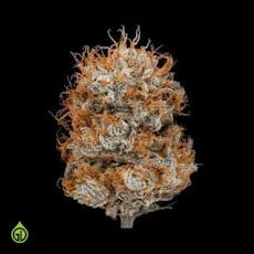 Green Dot Labs Flower Jar 3.5g: Fortissimo