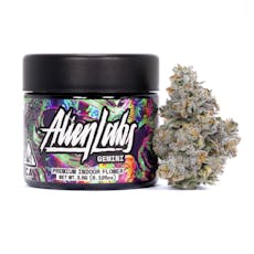 Alien Labs 3.5g Jar - Gemini