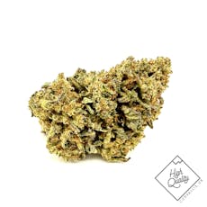 Gas Face- Benson Arbor (H)