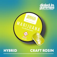 100mg Rosin Gummies | Starfruit (Hybrid)