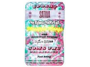 HLH Pineapple Mango Gummies 2pk 50mg THC