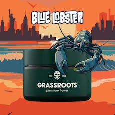 Grassroots - Blue Lobster - Flower - 3.5g