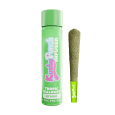 Tropical Jealousy Infused PreRoll (1g)